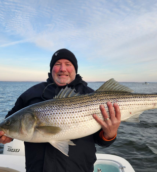 Chesapeake Striper Action!